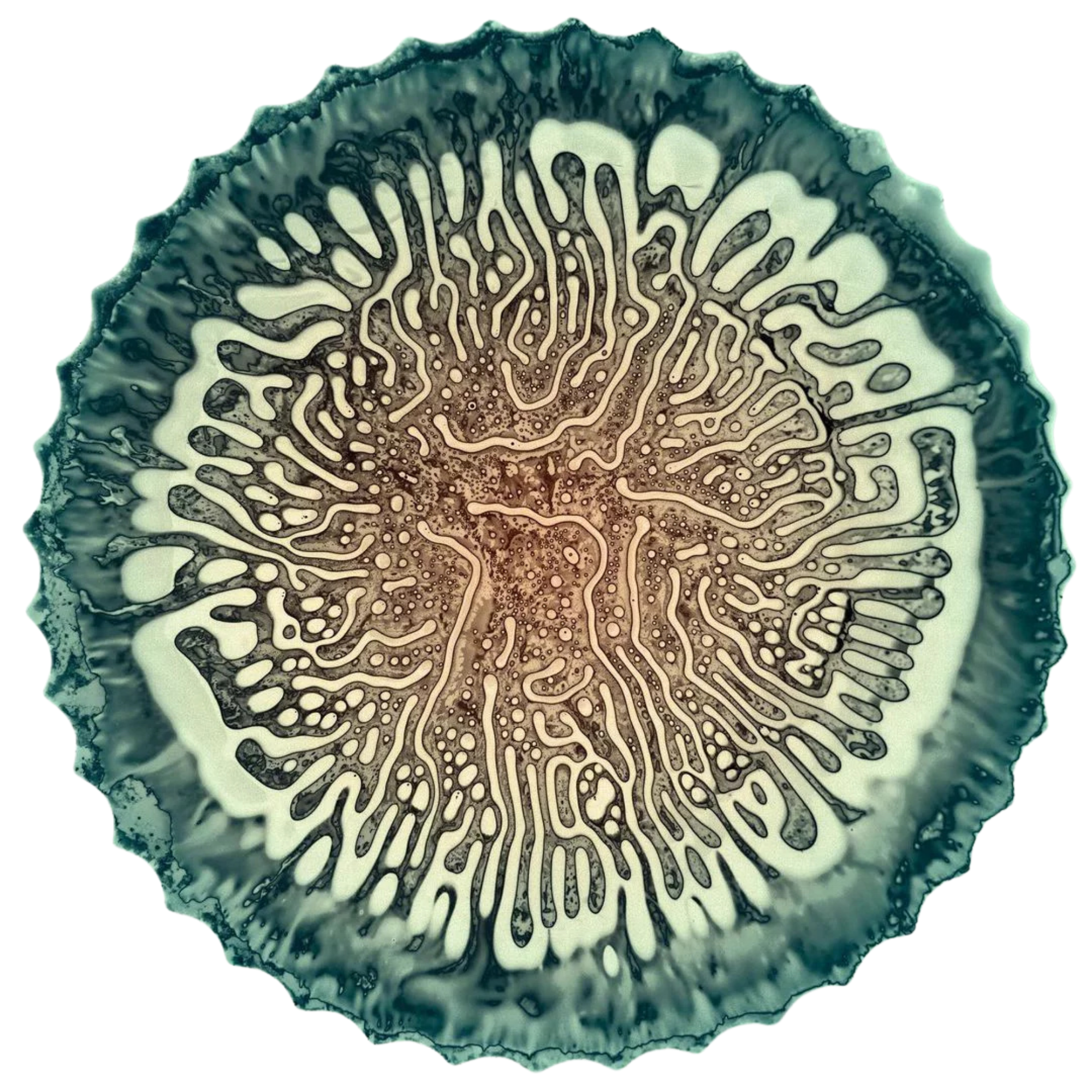 Mycelium Trance