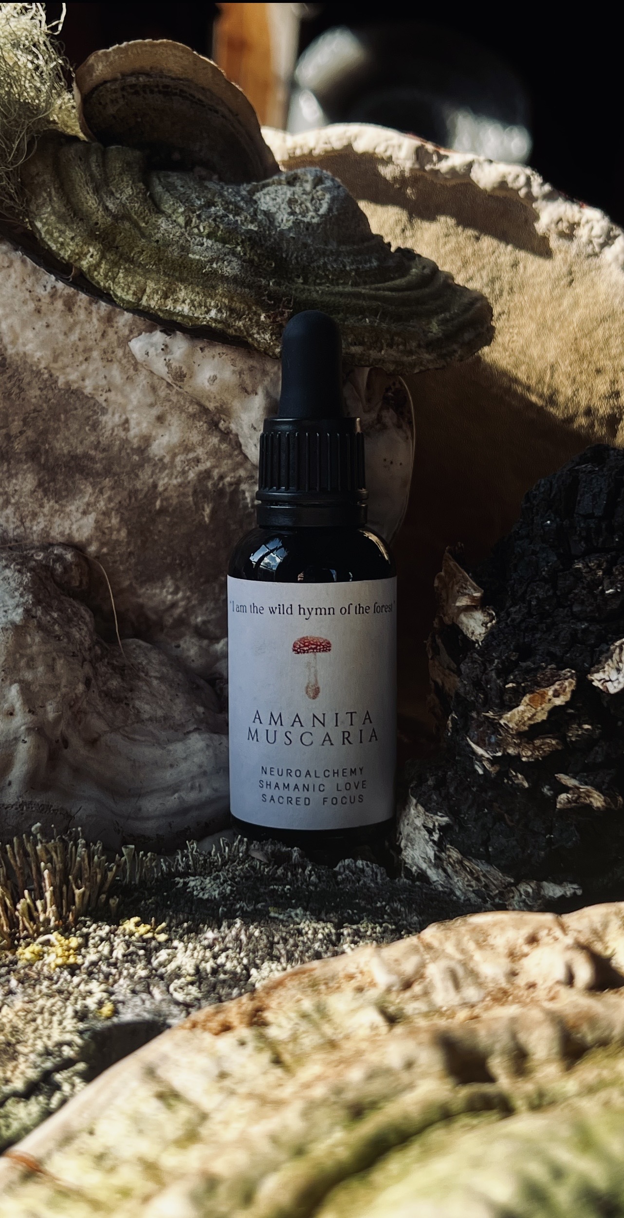 Amanita muscaria tincture