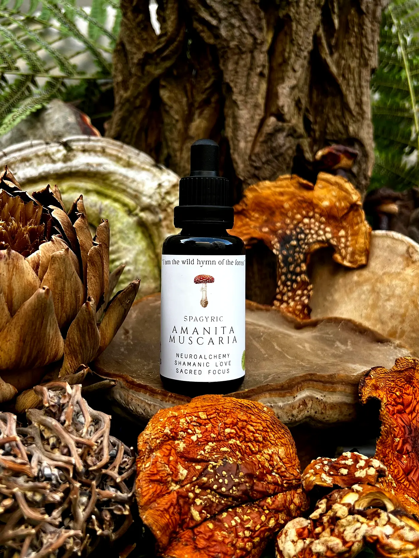 Amanita muscaria spagyric essence