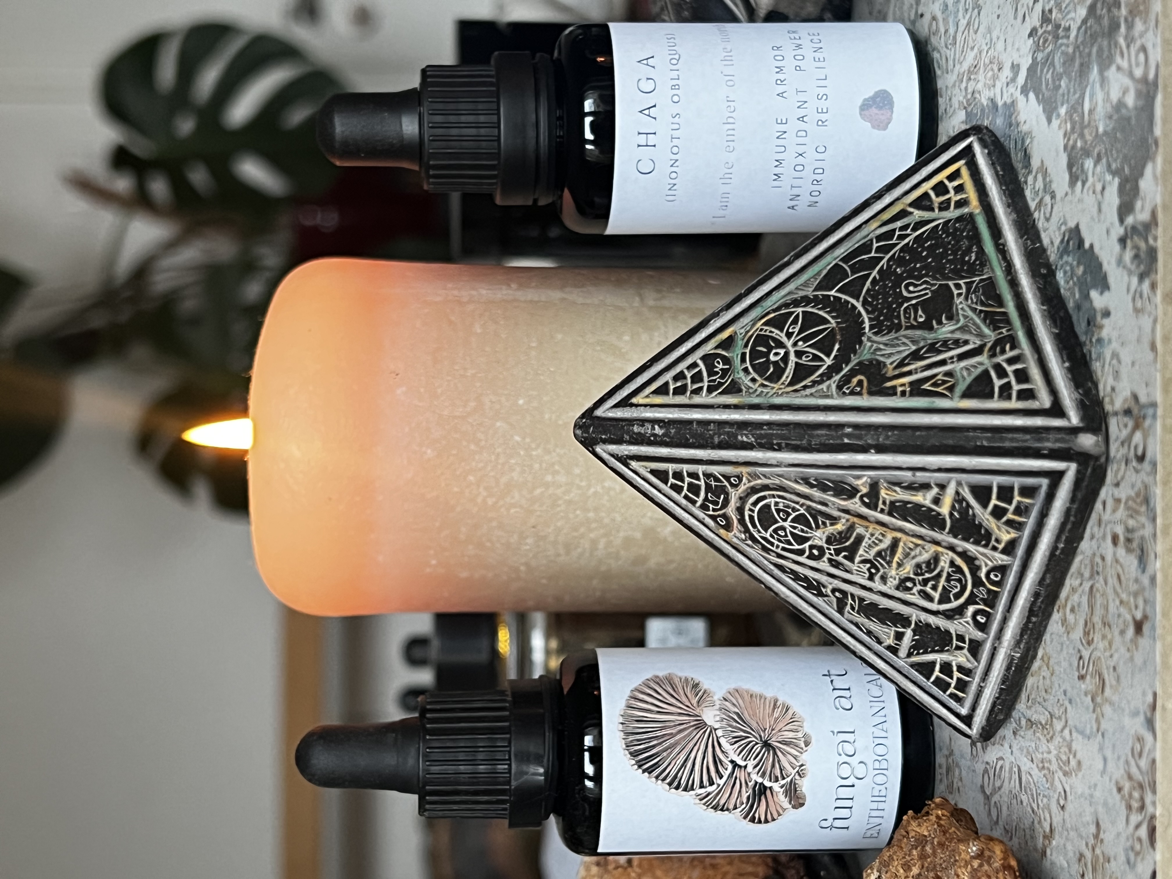 Chaga tincture