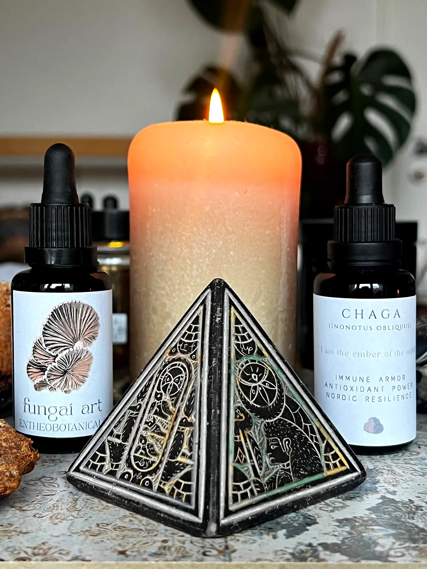 Chaga Extract