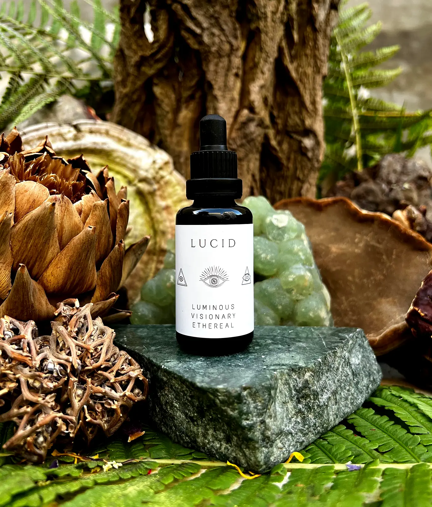 Lucid dream extract
