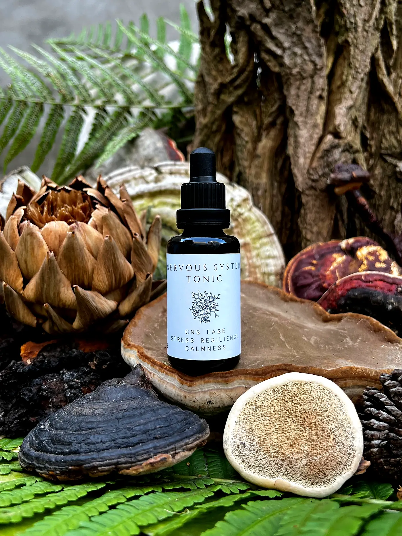 Nervous System Tonic