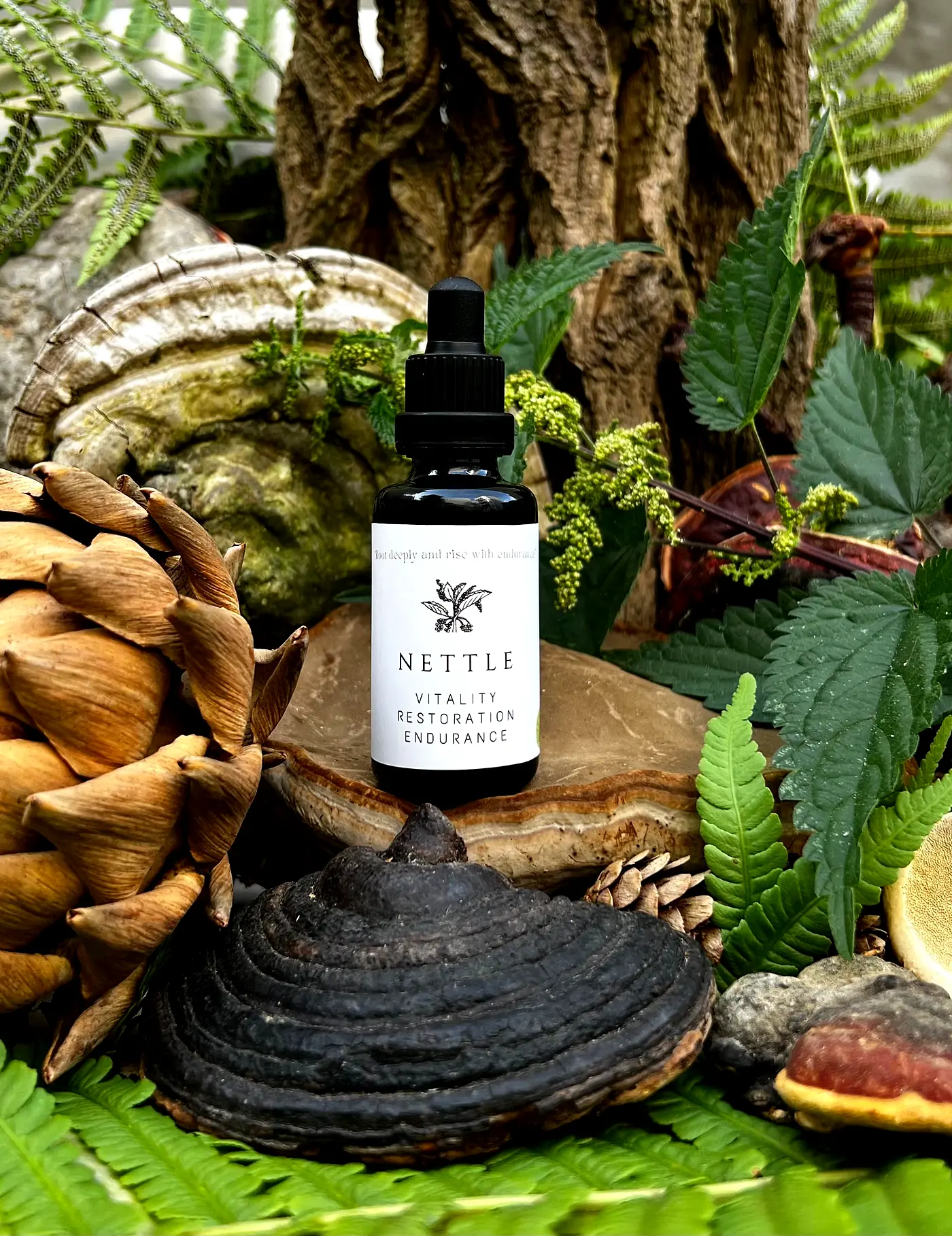 Nettle extract